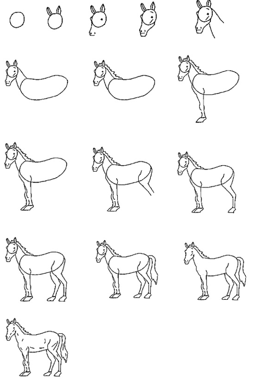 リアルな馬の描き方